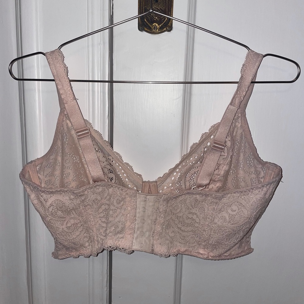 Prima Donna Lace Bra 36g View 5